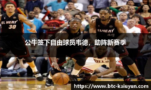 开云体育官网